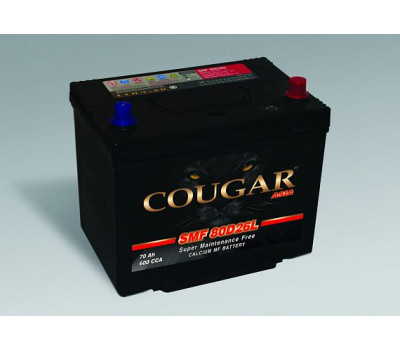 Аккумулятор COUGAR 95D26L оптом и в розницу